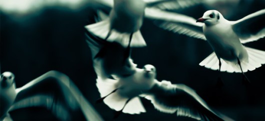 richard-branson-giving-employees-freedom